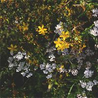 2022年8月，《农历日历》是最好的？