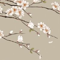 本命年礼物自己买还是别人送比较好 长辈送红有福报