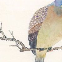 机械租赁公司取名字参考大全 机械企业起旺财好名字