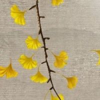 男人耳朵上有痣图解对照表 耳朵周围痣的秘密解析