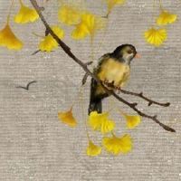 额头大耳朵大面相 有福气的额头面相介绍