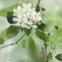 手机号码尾数是31 旺福添运的手机尾号