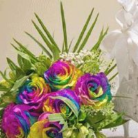 结婚当天开箱钱给多少 小舅子的开箱钱要怎么说