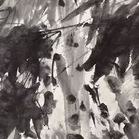 2022年属鼠女必发生的好事 事业感情很顺利