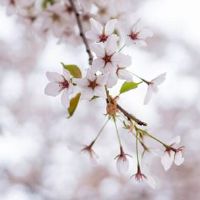 出生时辰看另一半财富 丑时出生人会遇到真爱