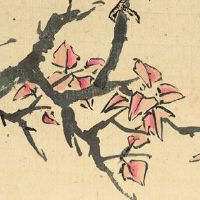 2022年夏至出生的人有什么说法 平安福寿 运势旺盛