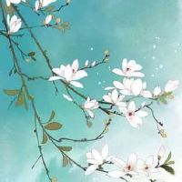 2022年8月1日出生的女孩子八字五行查询 能成大器 一生富贵