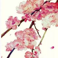 2022年8月2日出生属虎女孩命好不好 明朗乐观 爱情美满