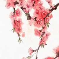 2022年8月5日出生女孩是什么命 顺意美好 福禄之命