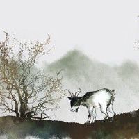 1991年属羊的人命好不好 没有心机平安喜乐