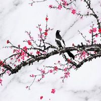 车牌号有4是不是不好 车牌数字的风水分析