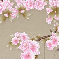 怎样选择车牌号风水 风水和谐的车牌号码