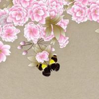 尾号为00的车牌号 号码00的风水吉凶解析