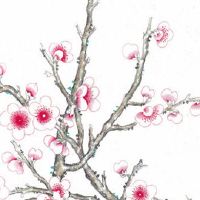 属虎的今年佩戴什么东西好运招财 摆放蟾箱纳宝招财避灾