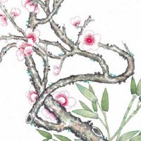 属虎的女性本命年佩戴什么好 女性佩戴玉如意万事如意