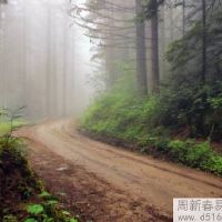 2022年5月属狗人运程及运势详细解析