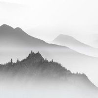 贪狼化忌在夫妻宫执着 夫妻宫贪狼见空劫