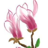 太极八卦镜和八卦凸镜的区别 可查黄历选吉时挂八卦镜