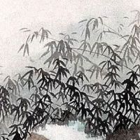 为什么车牌号不选4和7 吉祥的车牌尾号带来好运