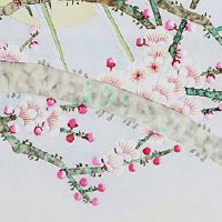 属虎本命年佩戴什么吉祥物 佩戴虎眼石聚财转运