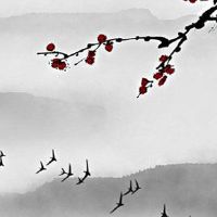 夫妻宫化科入夫妻宫 判断夫妻婚姻关系