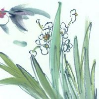 2022年八字流年运势 日元是壬癸水八字解析