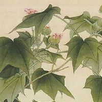 生肖冲煞情况一览:2022年10月9日冲什么生肖