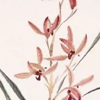 生肖冲煞情况一览:2022年10月15日冲什么生肖