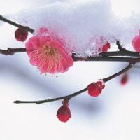 八字测另一半特征和性格 如何用八字测配偶所在地