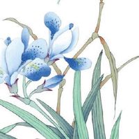 女命夫妻宫有天钺星 天钺是桃花星能去凶化吉