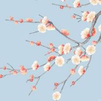 六十甲子日柱精细详解 丁卯以及己巳配对情况