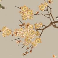 哪些日柱的女人有钱 丁亥日柱出生女人大富大贵