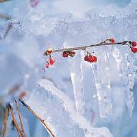 老黄历查询农历六月适合搬家的日子有几天