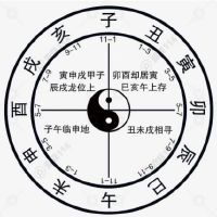 十二生肖中什么生肖命最好？