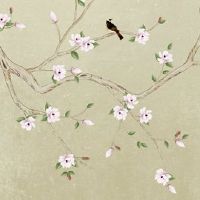 本命年背三年是哪三年 重视太岁年一旺旺三年