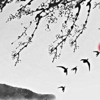 生辰八字给公司取名免费 企业起旺财好名字