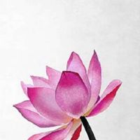 2022年8月9日可以结婚吗 是不是黄道吉日