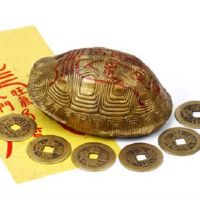 全国姓氏排名2022新版本第一