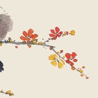 带5个硬币在身上招财吗 五方贵人法可催旺贵人运