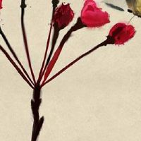 生肖兔生于各个时辰的命运 申时戍时子时生月德星照命