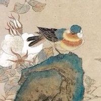 女士犯太岁佩戴什么好 化解太岁最佳饰品