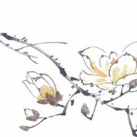 服装公司名称大全集最新 服装公司高级大气的名字