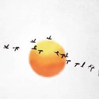 2022年7月6日时辰宜忌分析 这天日子好不好?