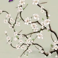 74年属虎女2022年运势 虎女常做善事有福报