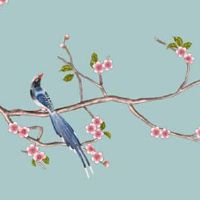 车牌尾号0风水 拥有无限可能的车牌尾号