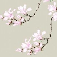 本命年男人戴虎眼石的好处 男性戴虎眼石事业顺利