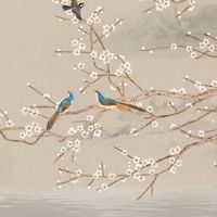 如何改变自己的风水走好运 养绿植可改风水运势