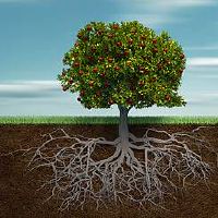 买房的楼层有什么需要注意的 舒适适宜需求