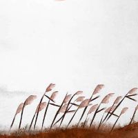 2022年8月21日这天日子好不好 宜结婚办婚礼吗