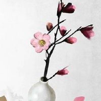 2022年8月20日适合订婚吗 今日是不是好日子